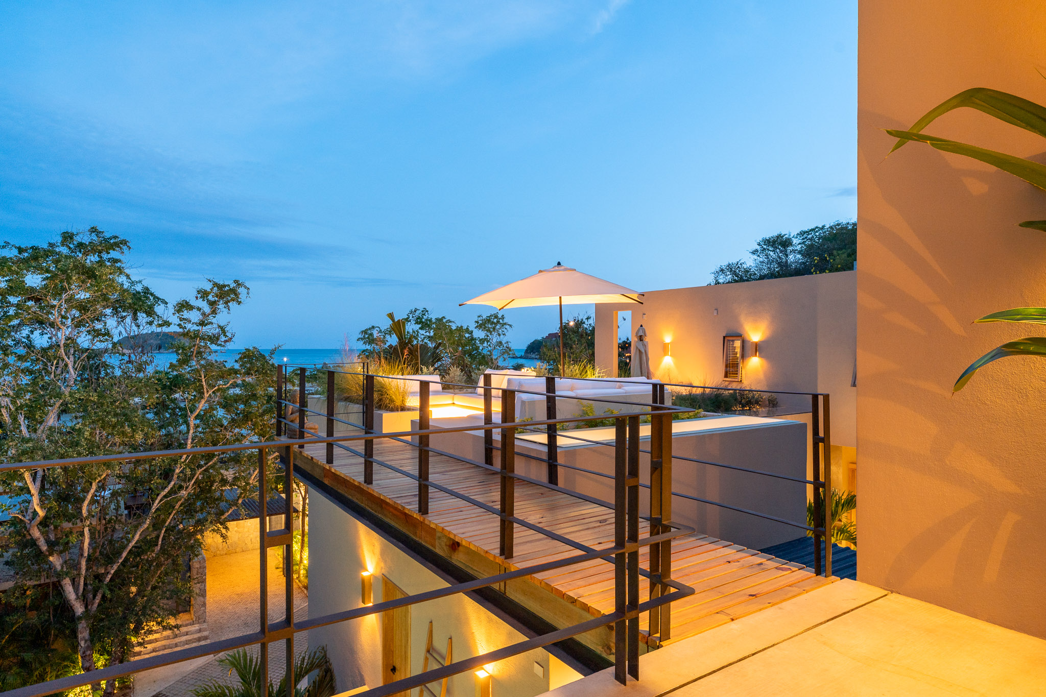 Treetop deck and bridge